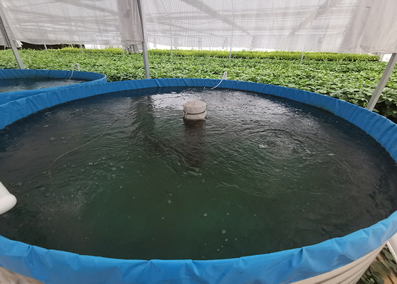 Customized Galvanized Fish Pond High Capacity For Commercial Farming