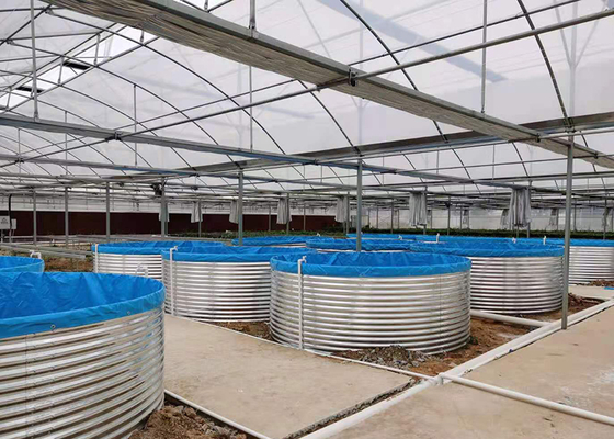 Shrimp Recirculating Aquaculture System Easy Installation Ras System Fish Farming