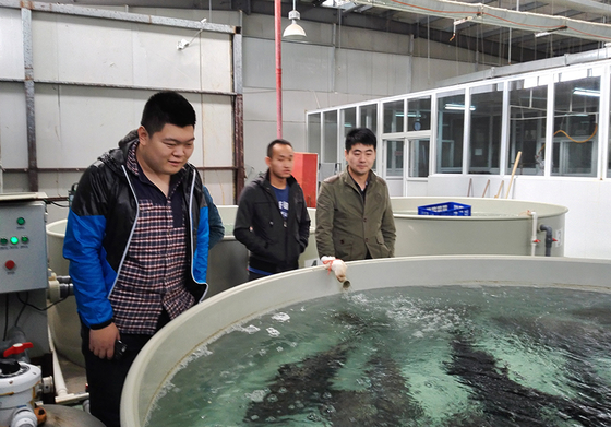 30m Diameter Recirculating Aquaculture System Fish Pond RAS Farming Aquaculture