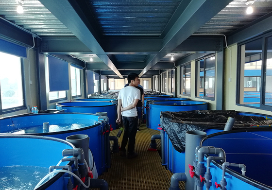 30m Diameter Recirculating Aquaculture System Fish Pond RAS Farming Aquaculture