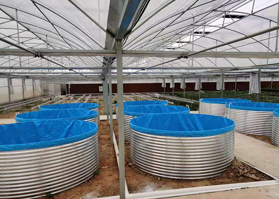 Shrimp Recirculating Aquaculture System Easy Installation Ras System Fish Farming