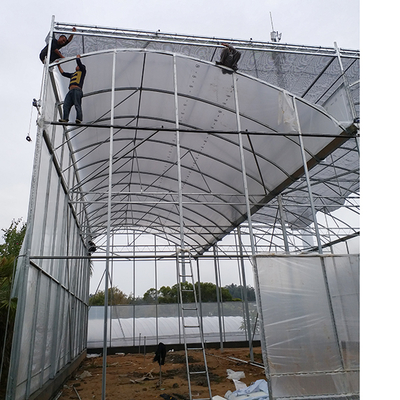 IGreen Tunnel Strawberry Greenhouses PE Greenhouse for Vegetable and Flower Growing