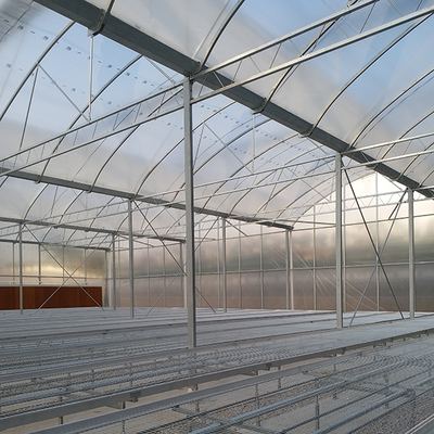 IGreen Tunnel Strawberry Greenhouses PE Greenhouse for Vegetable and Flower Growing