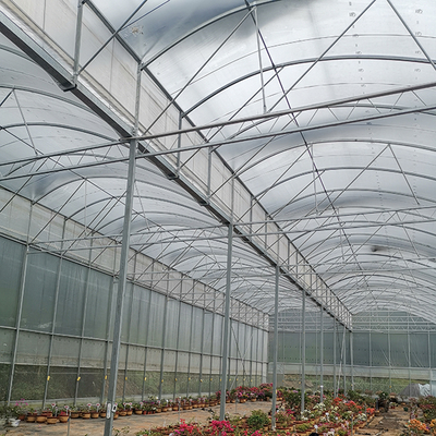 Single Layer Greenhouse Hydroponics System Wrought Iron Greenhouse With Film Surface