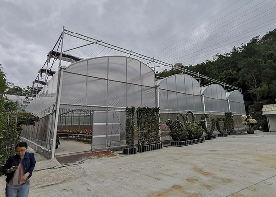 Single Layer Greenhouse Hydroponics System Wrought Iron Greenhouse With Film Surface