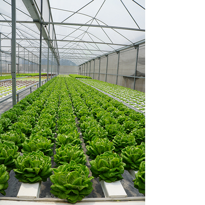 Single Layer Greenhouse Hydroponics System Wrought Iron Greenhouse With Film Surface