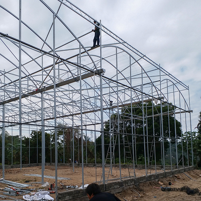 Single Layer Greenhouse Hydroponics System Wrought Iron Greenhouse With Film Surface