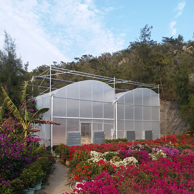 Single Layer PE Ground Cover for IGreen Greenhouse's Steam-Greenhouse Roofing Material