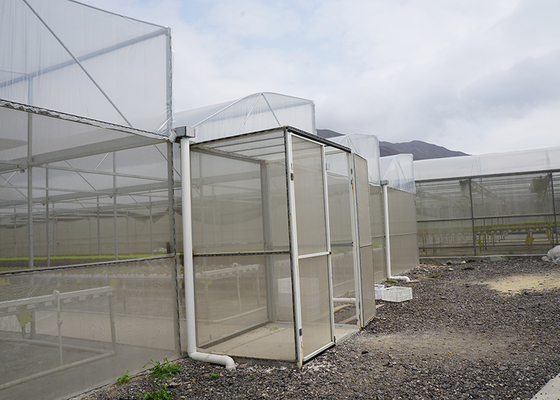 IGreen Tunnel Strawberry Greenhouses PE Greenhouse for Vegetable and Flower Growing