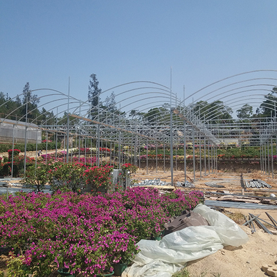 Single Layer PE Ground Cover for IGreen Greenhouse's Steam-Greenhouse Roofing Material