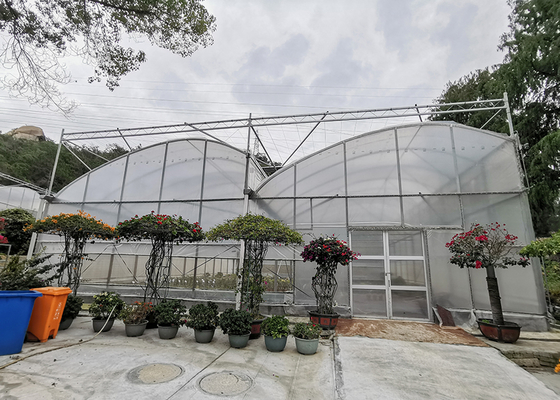 NFT System Tomato Growing Greenhouse With PVC Pipe Channel And Film Cover