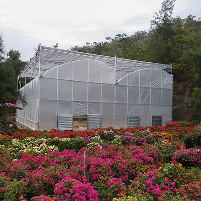 NFT System Tomato Growing Greenhouse With PVC Pipe Channel And Film Cover