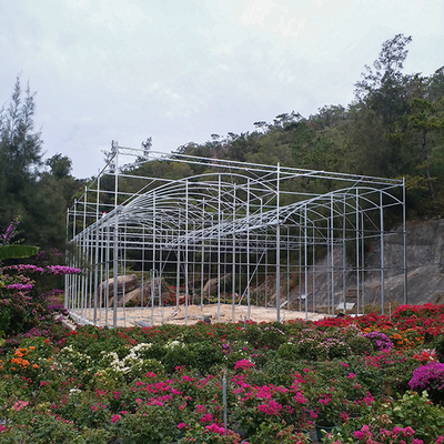 NFT System Tomato Growing Greenhouse With PVC Pipe Channel And Film Cover