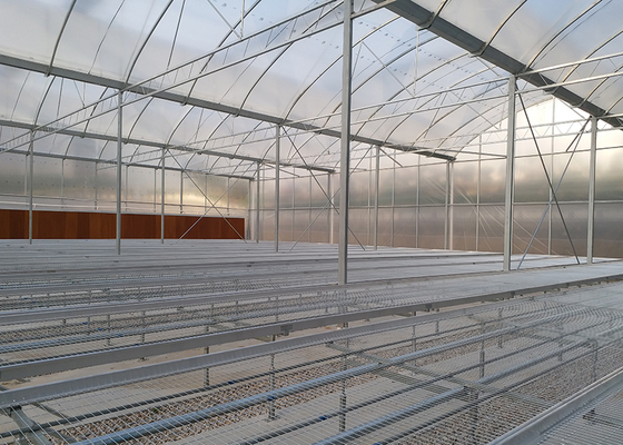 NFT System Tomato Growing Greenhouse With PVC Pipe Channel And Film Cover