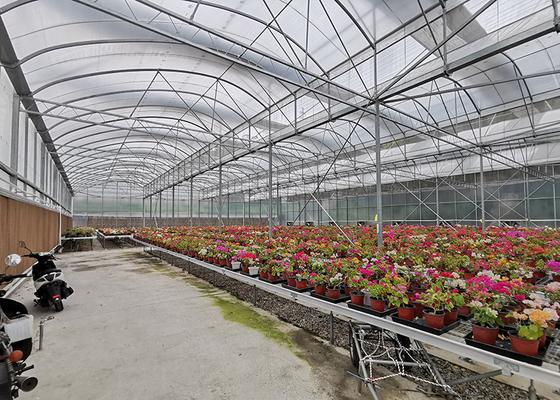Customizable Plastic Tunnel Greenhouse Saw Tooth Roof Vent Multi Span For Agriculture
