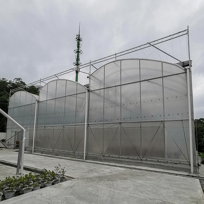 Tropical Sawtooth Hydroponic Greenhouse Kit Customizable 200micron Film Type