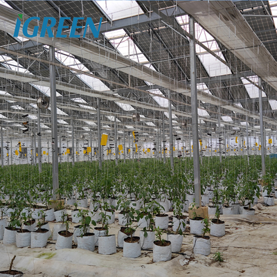 Solar Gray Polycarbonate Sheet Greenhouse For Aquaponics Farming System