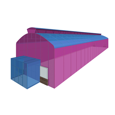 7.5M Height Single Span Greenhouse 300sqm Customized Tropical Green House