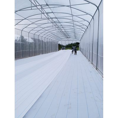 200micron PE Film Ventilation System Greenhouse High Security Weather Proof