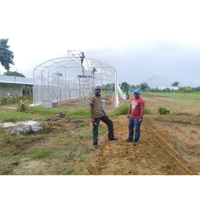 5 Meter Shoulder Tropical Agricultural Greenhouse Umbrella Roof Vent Single Span Greenhouse
