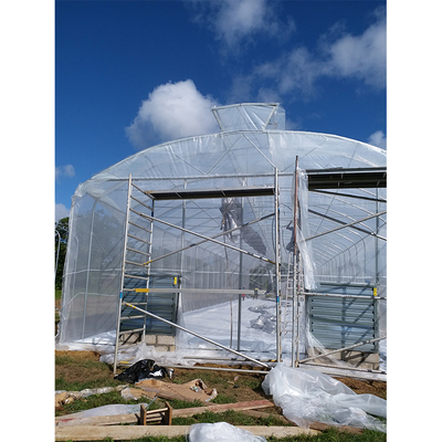 5 Meter Shoulder Tropical Agricultural Greenhouse Umbrella Roof Vent Single Span Greenhouse
