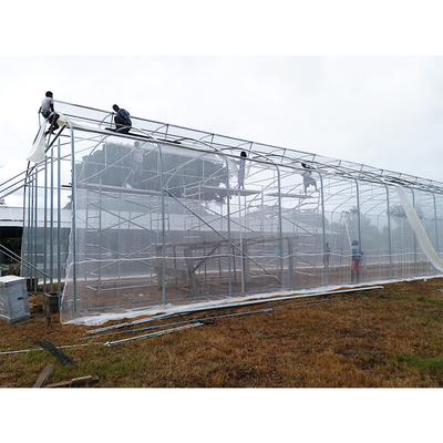 5 Meter Shoulder Tropical Agricultural Greenhouse Umbrella Roof Vent Single Span Greenhouse