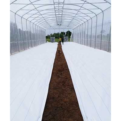 200micron PE Film Ventilation System Greenhouse High Security Weather Proof