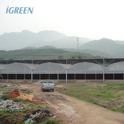 200 Micron Plastic Film Greenhouse Shade Cloth Roof Height 7 Meters for Strawberry