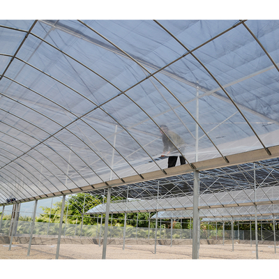 Vegetable Garden Large Greenhouse Kit 30X100 Metal Frame Large Greenhouse Kit