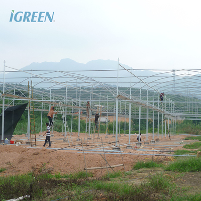 Film Surface Outdoor Vegetable Greenhouse Kits For Fruits And Flower