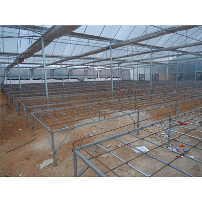 Film Surface Outdoor Vegetable Greenhouse Kits For Fruits And Flower
