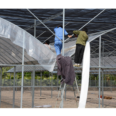 200 Micron Plastic Film Greenhouse Shade Cloth Roof Height 7 Meters for Strawberry