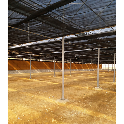 Customized Length Multi-Span Agricultural Greenhouses in IGREE Eco Green House Design