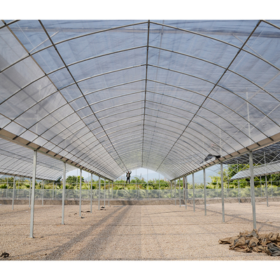 Large Multi Span Greenhouse 200micron Plastic Film Greenhouse For Vegetables And Flowers