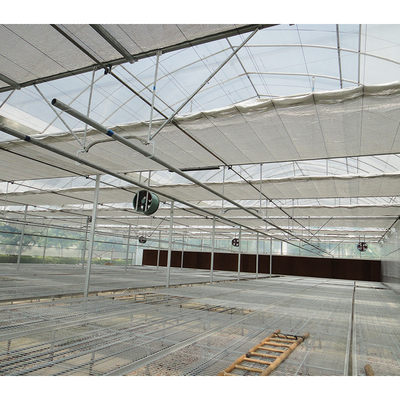 No Roof Vent Agricultural Greenhouse Vegetable Growing Single Span Greenhouse