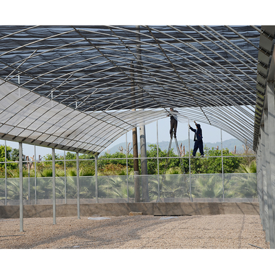 Film Surface Outdoor Vegetable Greenhouse Kits For Fruits And Flower