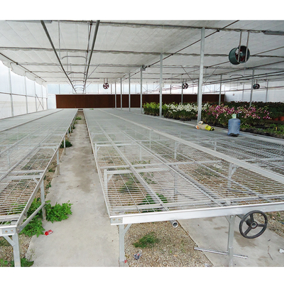 Film Surface Outdoor Vegetable Greenhouse Kits For Fruits And Flower