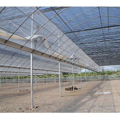 10m Tunnel Width Wide Span Greenhouse For Snail Farming with Irrigation System