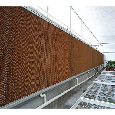 10m Tunnel Width Multi Span Greenhouse Hot Zone Desertic Wind Resistance Greenhouse