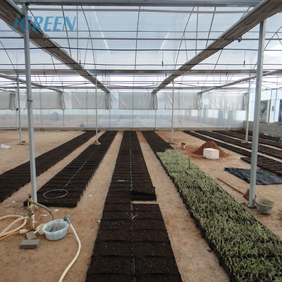 10m Tunnel Width Wide Span Greenhouse For Snail Farming with Irrigation System