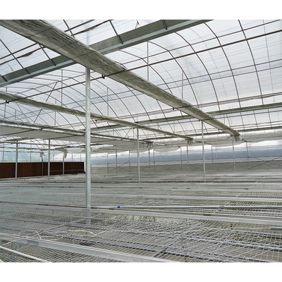 10m Tunnel Width Wide Span Greenhouse For Snail Farming with Irrigation System