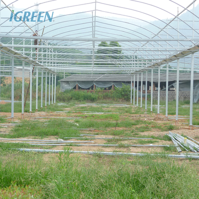 10m Tunnel Width Multi Span Greenhouse Hot Zone Desertic Wind Resistance Greenhouse