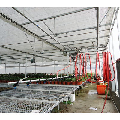 No Roof Vent Agricultural Greenhouse Vegetable Growing Single Span Greenhouse