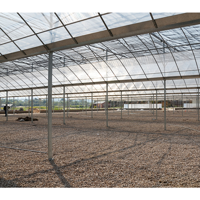 Customized Length Multi-Span Agricultural Greenhouses in IGREE Eco Green House Design