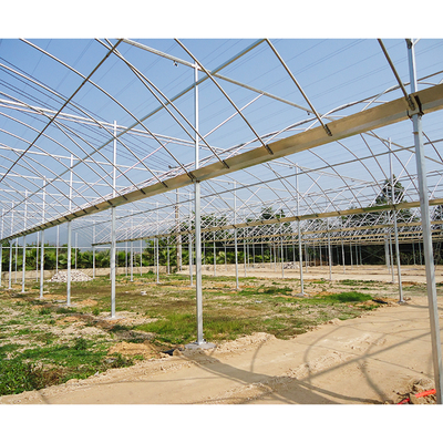 Film Type Multi Span Greenhouse Wide Span Greenhouse With Steel Skeleton And Shoulder Height 2m