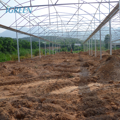 Galvanized Steel Frame Commercial Orchid Greenhouse For Flower Professional Growers