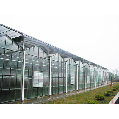 Galvanized Steel Pipe Greenhouse with 275gsm Zinc Coating and Side Vent