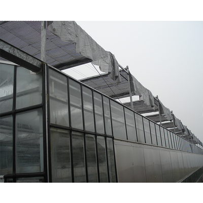 Galvanized Steel Pipe Greenhouse with 275gsm Zinc Coating and Side Vent