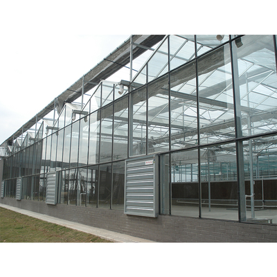 Customizable Multi Span Greenhouse With Side Vent And Roof Height 3.73M