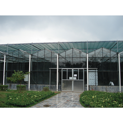 Customizable Multi Span Greenhouse With Side Vent And Roof Height 3.73M